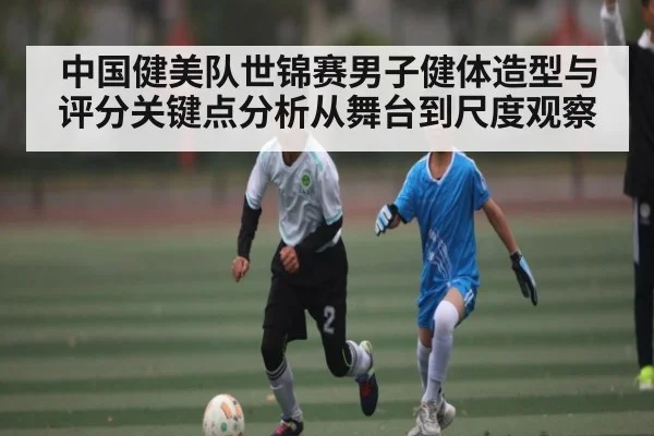 中国健美队世锦赛男子健体造型与评分关键点分析从舞台到尺度观察 - kaiyun